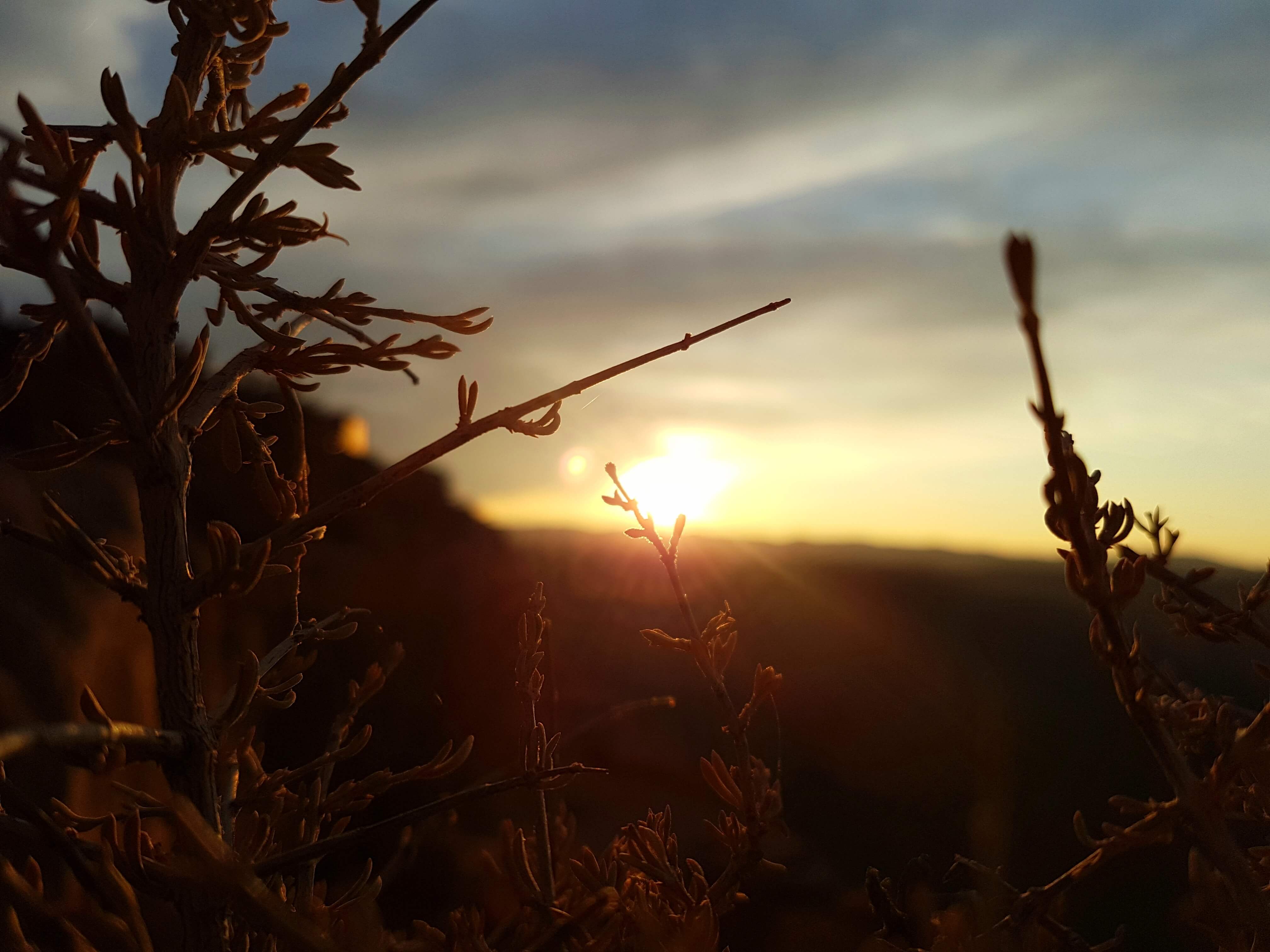 Grand Canyon Image