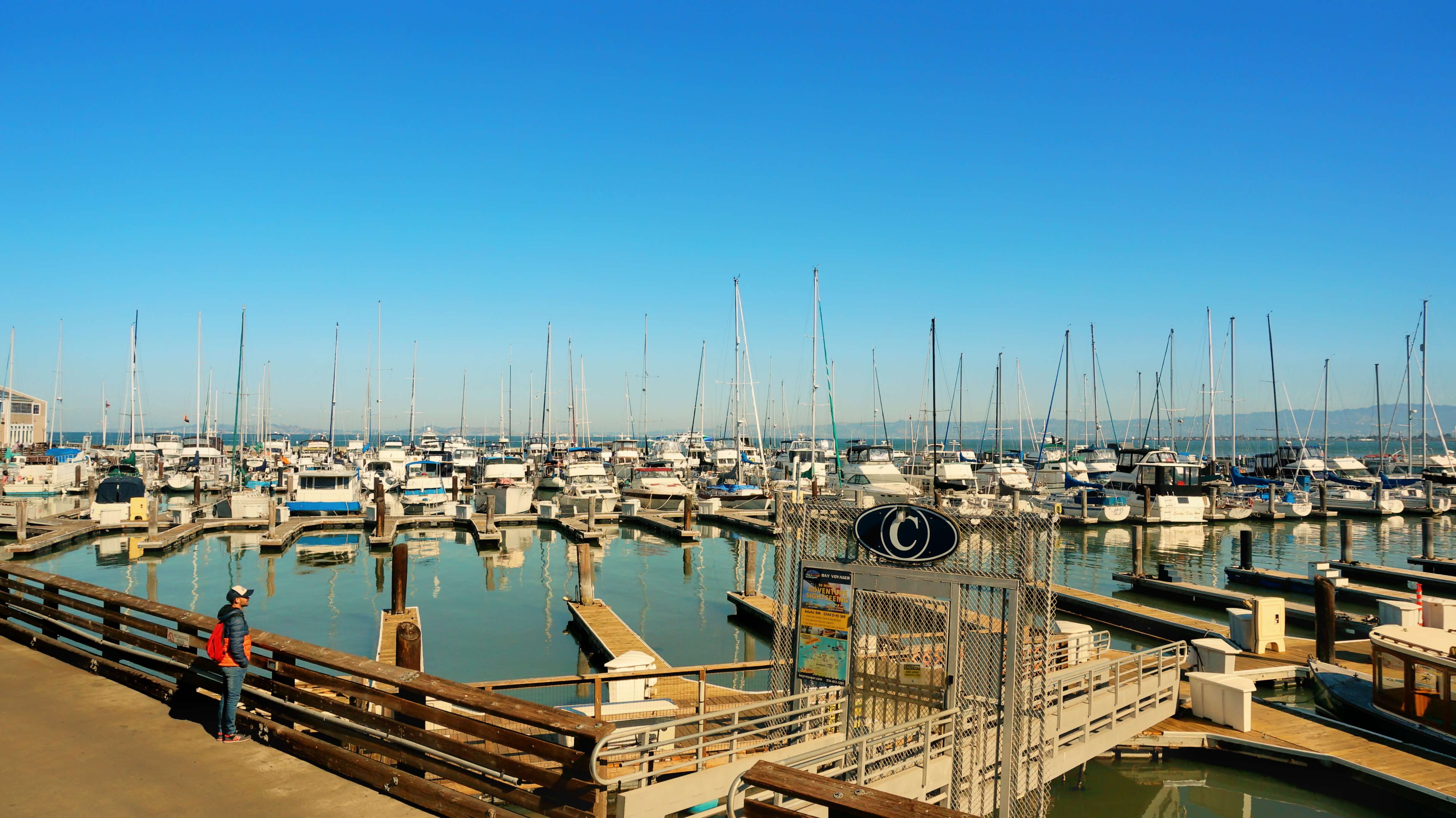 Pier 39 Image