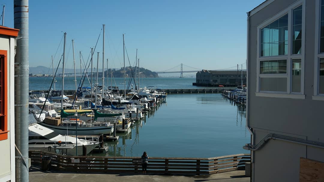 Pier 39 Image